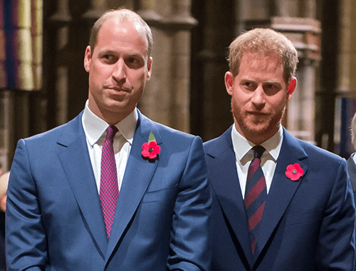 Prince William & Prince Harry